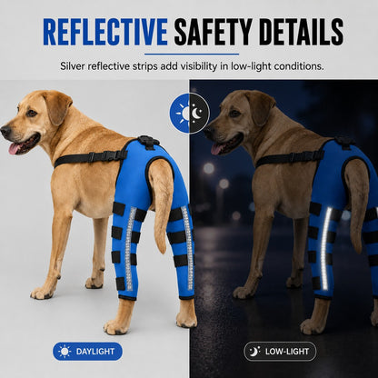 Paws in Awe Reflective Dog Rear Leg Support Brace for Evening Walks & Recovery Comfort image 4