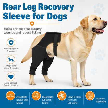 Paws in Awe Dog Rear Leg Recovery Sleeve for Post-Surgery Care & Licking Protection image 2
