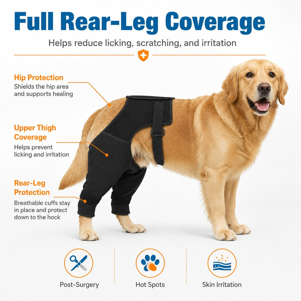 Paws in Awe Dog Rear Leg Recovery Sleeve for Post-Surgery Care & Licking Protection image 6