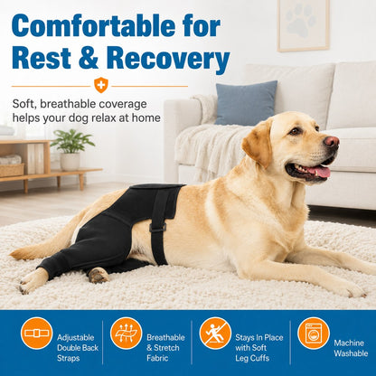 Paws in Awe Dog Rear Leg Recovery Sleeve for Post-Surgery Care & Licking Protection image 3