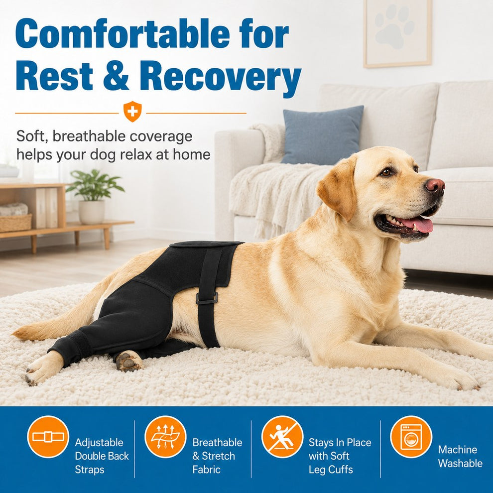 Paws in Awe Dog Rear Leg Recovery Sleeve for Post-Surgery Care & Licking Protection image 3