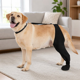 Dog rear leg recovery sleeve with paw cover main image