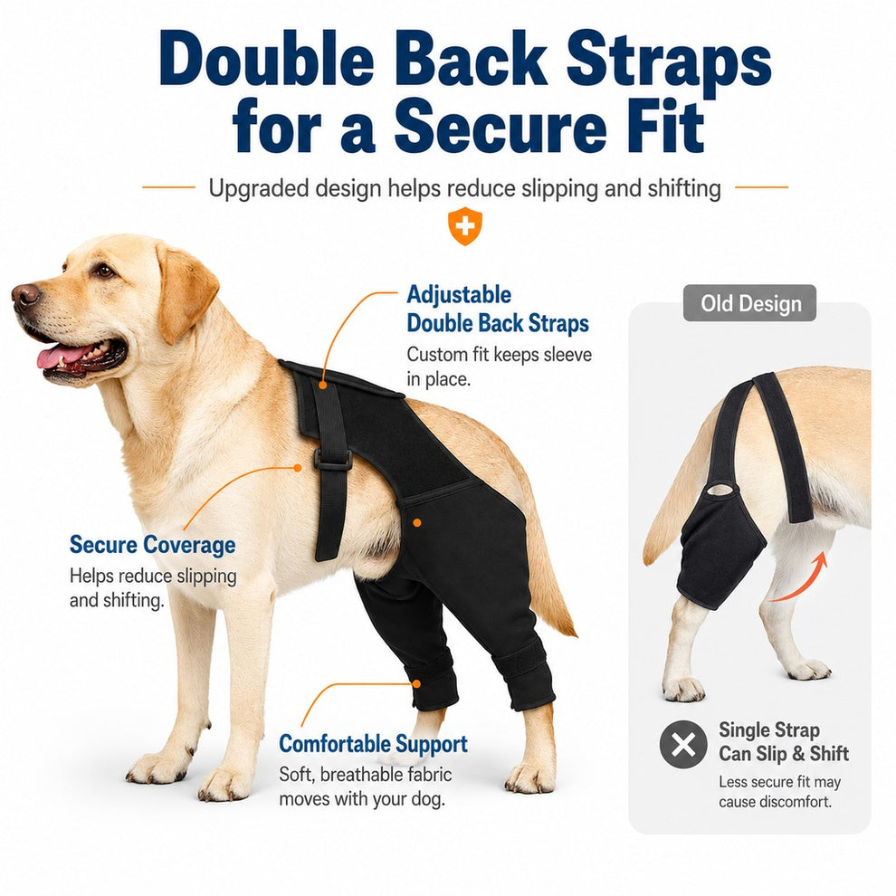 Paws in Awe Dog Rear Leg Recovery Sleeve for Post-Surgery Care & Licking Protection image 5