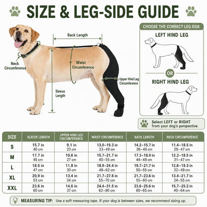 Dog rear leg sleeve size and leg side guide