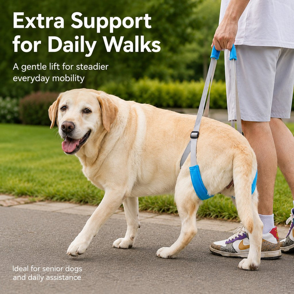 Paws in Awe Dog Rear Leg Lift Support Sling for Stairs & Cars - Senior Dog Mobility Support image 3