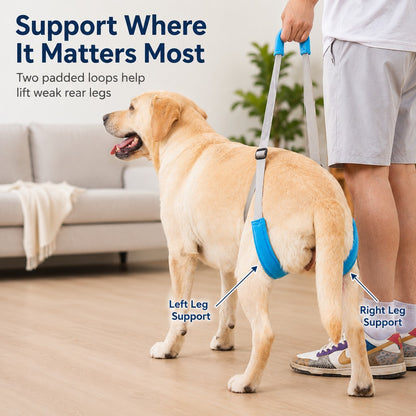 Paws in Awe Dog Rear Leg Lift Support Sling for Stairs & Cars - Senior Dog Mobility Support image 7