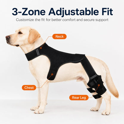 Paws in Awe RearGuard Dog Rear Leg Support Brace - Anti-Slip Hind Leg Stability Wrap for Senior Dogs, Hardwood Floors & Recovery Walks image 6