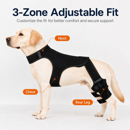 Paws in Awe RearGuard Dog Rear Leg Support Brace - Anti-Slip Hind Leg Stability Wrap for Senior Dogs, Hardwood Floors & Recovery Walks image 6