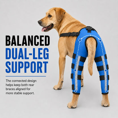 Paws in Awe Reflective Dog Rear Leg Support Brace for Evening Walks & Recovery Comfort image 7