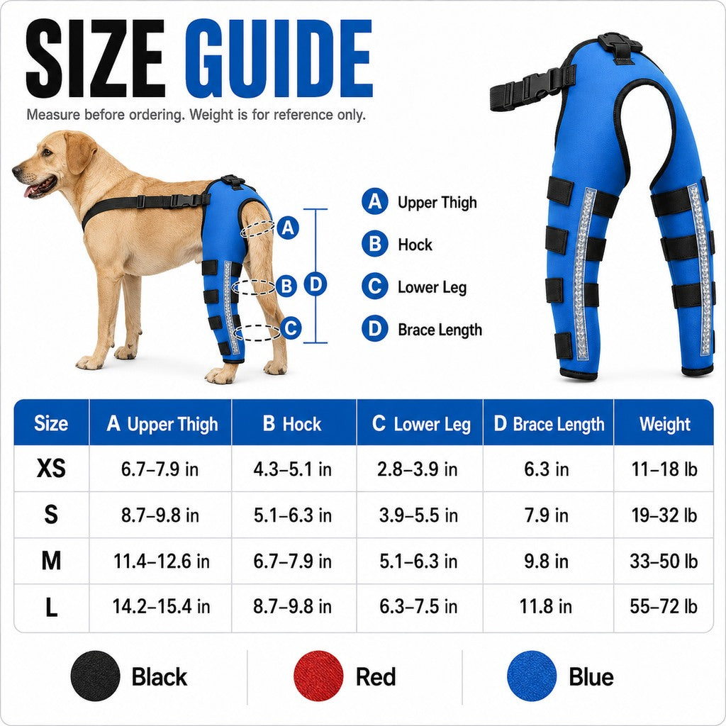 Paws in Awe Reflective Dog Rear Leg Support Brace for Evening Walks & Recovery Comfort image 5