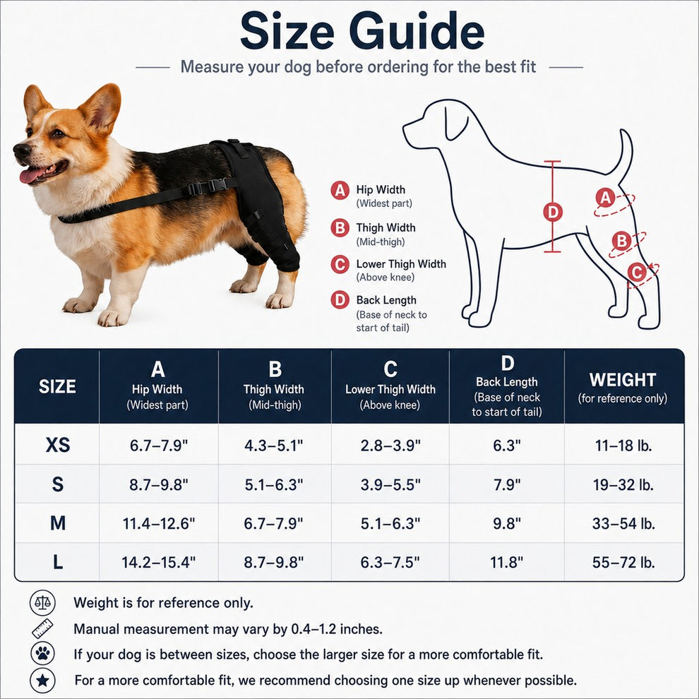 Paws in Awe Dog Rear Leg Support Brace for Senior & Weak Dogs - Adjustable Hind Leg Mobility Support for Walking & Daily Care image 8