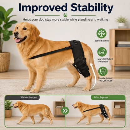 Paws in Awe Dog Rear Leg Support Brace for Senior & Weak Dogs - Adjustable Hind Leg Mobility Support for Walking & Daily Care image 3
