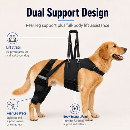 Paws in Awe Dog Rear Leg Support Harness for Senior Dogs - Walking & Mobility Lift Assistance image 3