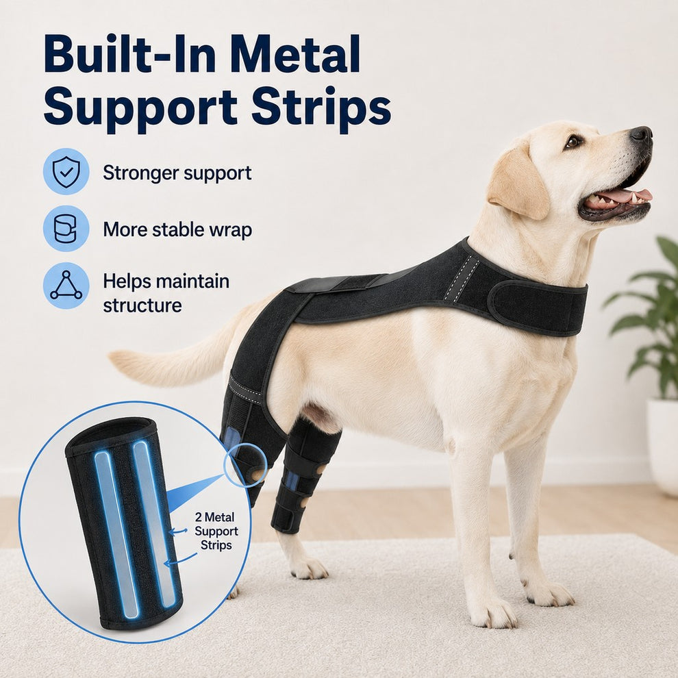 Paws in Awe Dog Rear Leg Support Harness for Senior Dogs - Dual Hind Leg Mobility Aid for Walking & Standing image 6