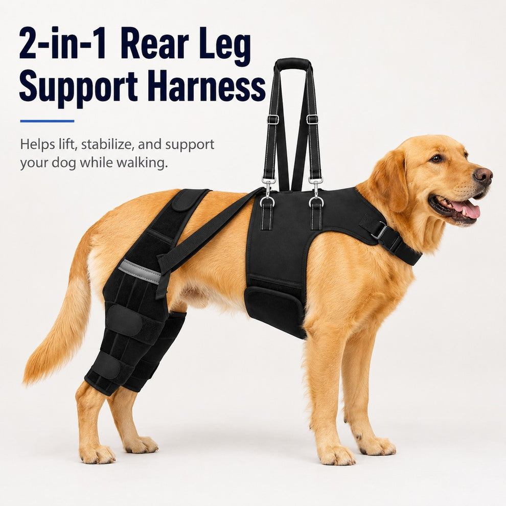 Paws in Awe Dog Rear Leg Support Harness for Senior Dogs - Walking & Mobility Lift Assistance image 2