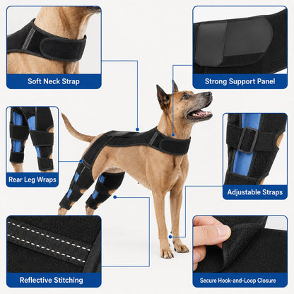 Paws in Awe Dog Rear Leg Support Harness for Senior Dogs - Dual Hind Leg Mobility Aid for Walking & Standing image 8