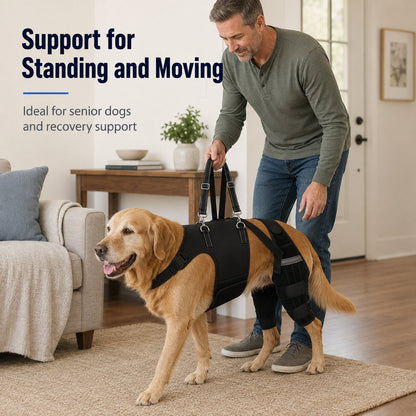 Paws in Awe Dog Rear Leg Support Harness for Senior Dogs - Walking & Mobility Lift Assistance image 8
