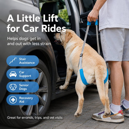Paws in Awe Dog Rear Leg Lift Support Sling for Stairs & Cars - Senior Dog Mobility Support image 2