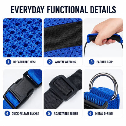 Breathable mesh dog rear lift support harness