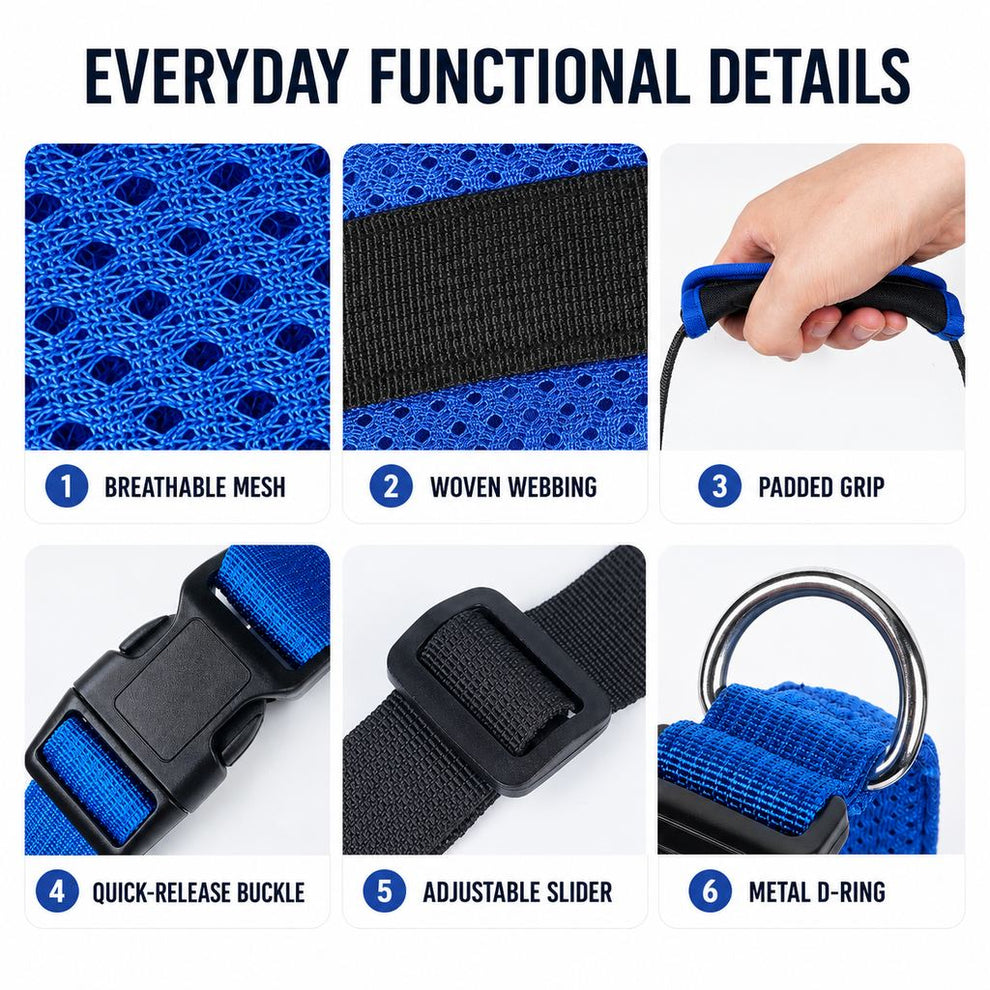 Breathable mesh dog rear lift support harness