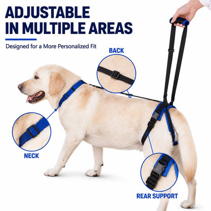 Dog rear lift harness for car entry assistance