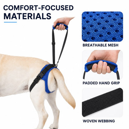 Dog rear lift support harness dual hind-leg loops
