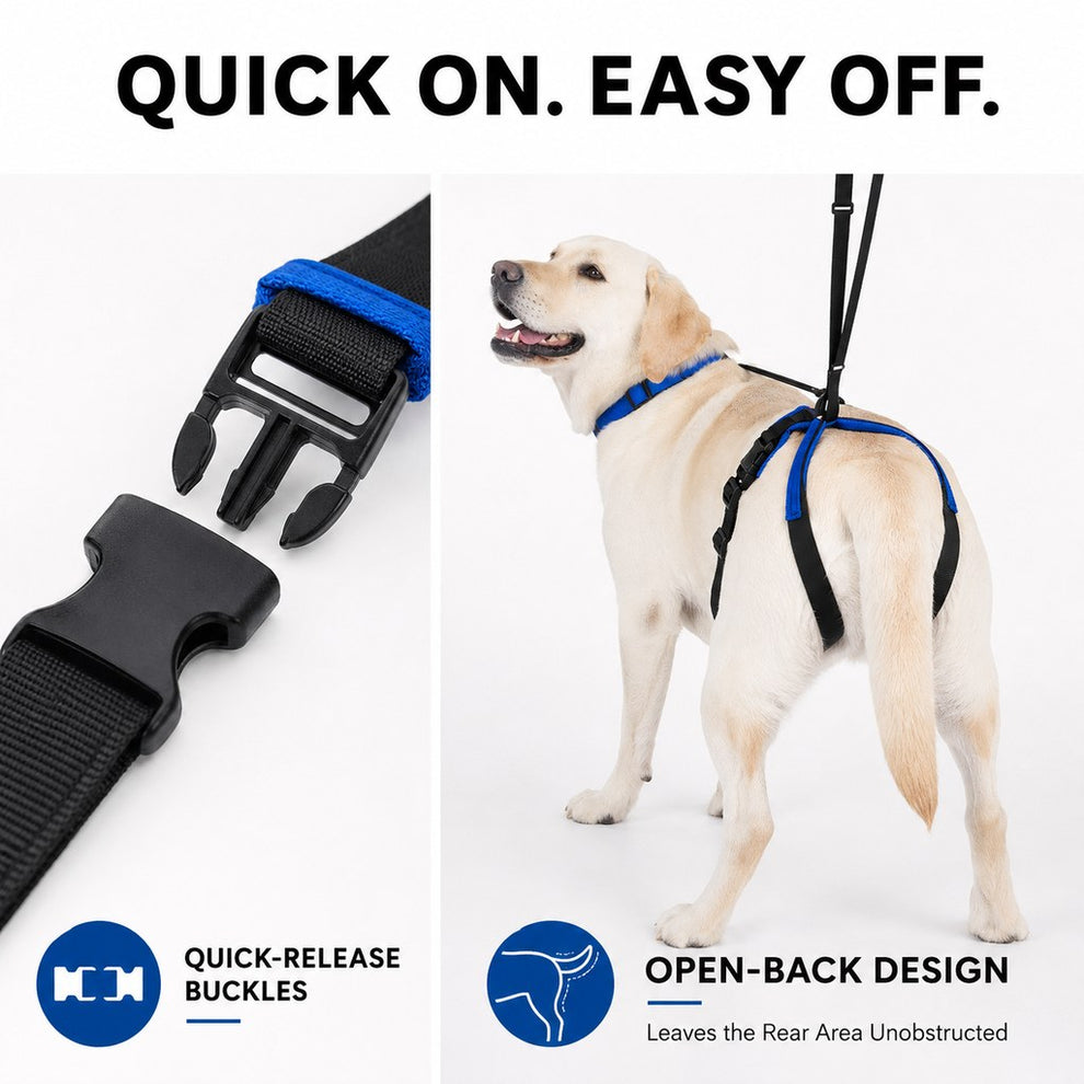 Padded lifting handle on dog rear lift harness