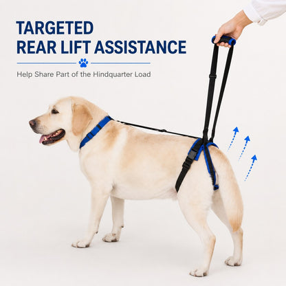 Dog rear lift harness for stairs support