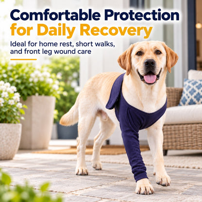 Labrador wearing an anti-lick recovery sleeve on the front leg