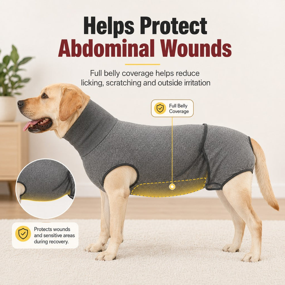 Paws in Awe Dog Recovery Suit with Pad Layer for Post-Surgery, Heat Cycles & Licking Protection image 5