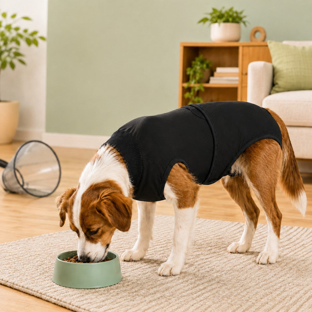 Paws in Awe Dog Recovery Suit After Surgery - Soft Adjustable Post-Surgery Bodysuit, Comfortable Cone Alternative image 9