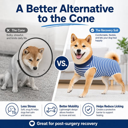 Paws in Awe Dog Post-Surgery Recovery Suit for Spay & Neuter - Anti-Lick Cone Alternative image 3