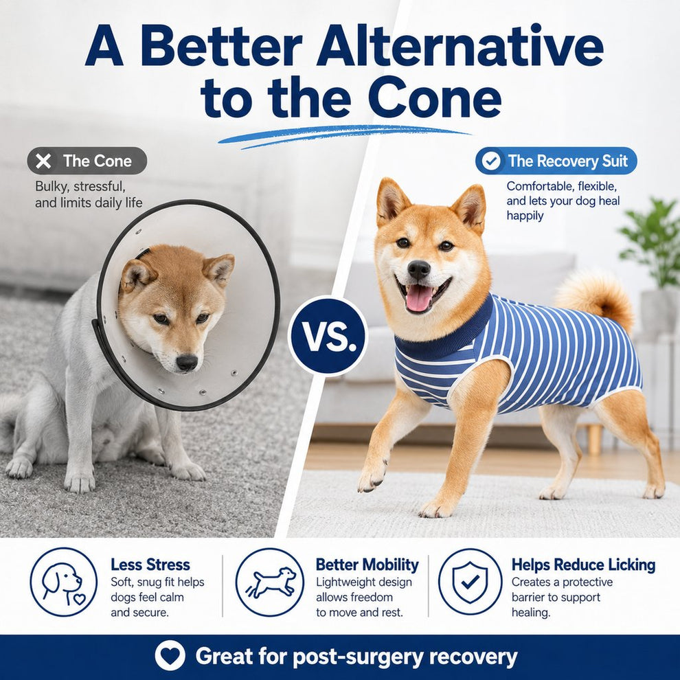 Paws in Awe Dog Post-Surgery Recovery Suit for Spay & Neuter - Anti-Lick Cone Alternative image 3