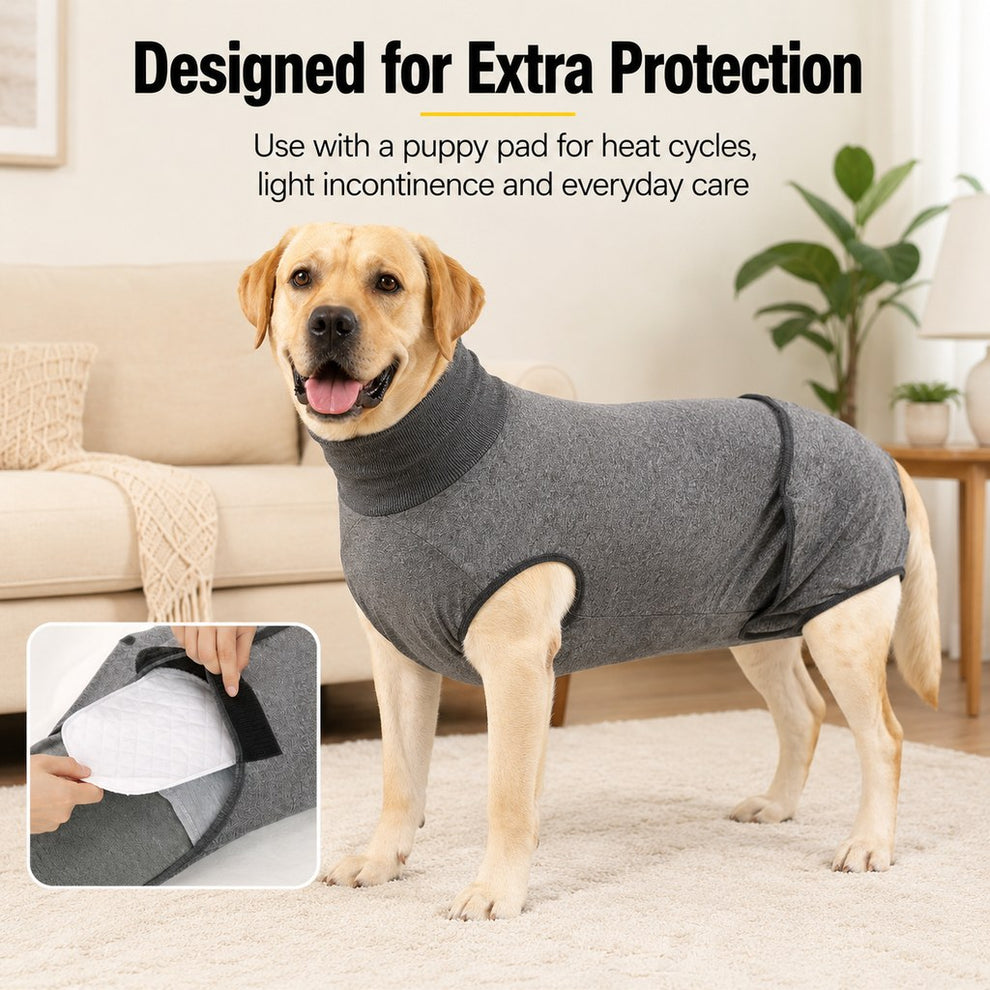 Paws in Awe Dog Recovery Suit with Pad Layer for Post-Surgery, Heat Cycles & Licking Protection image 3