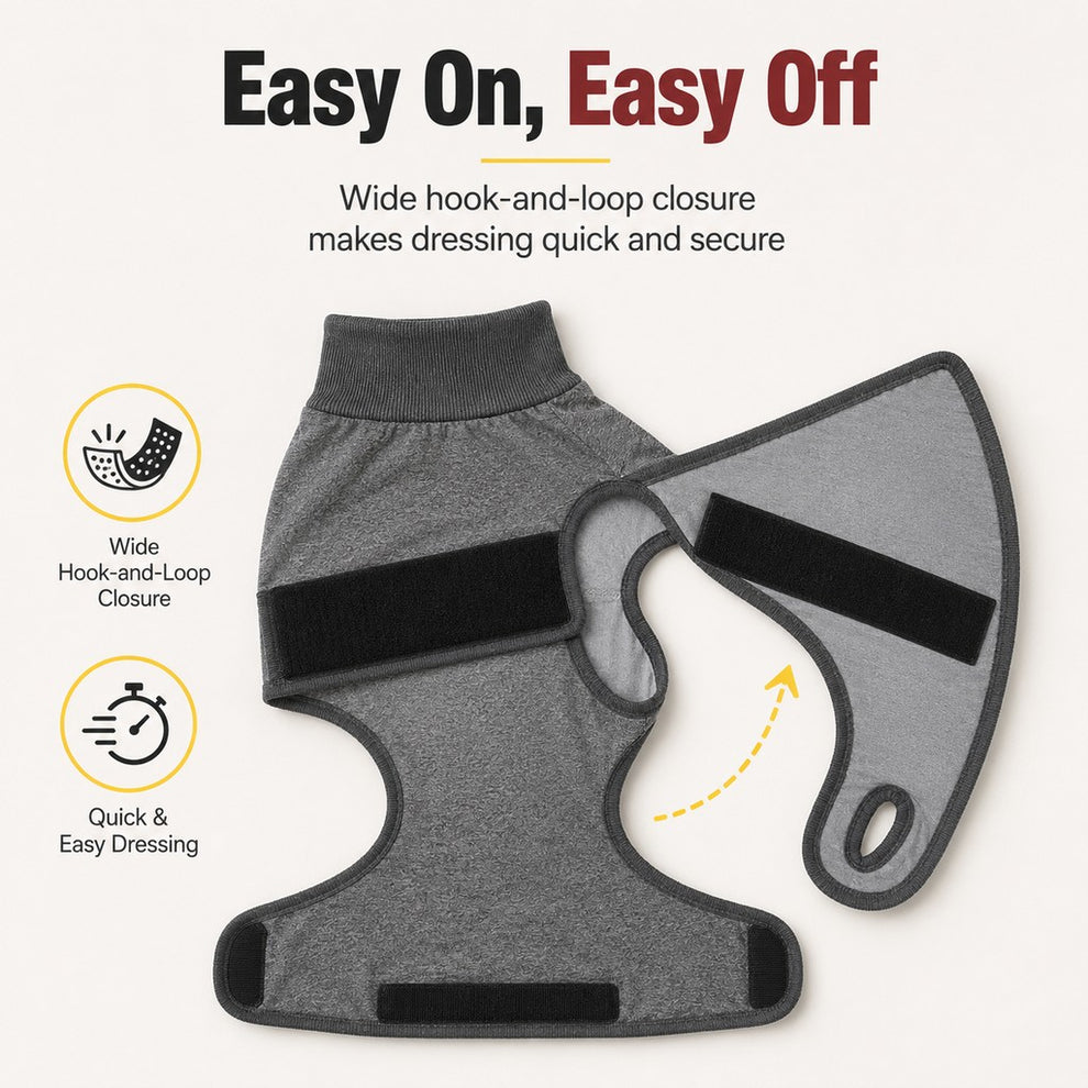 Paws in Awe Dog Recovery Suit with Pad Layer for Post-Surgery, Heat Cycles & Licking Protection image 7
