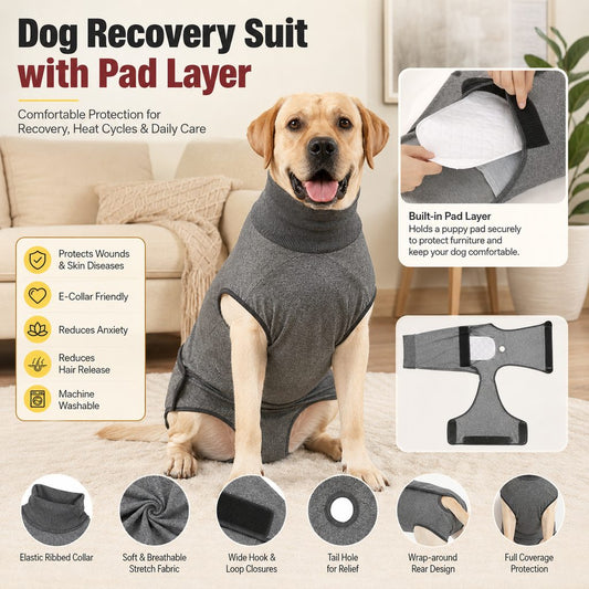 Paws in Awe Dog Recovery Suit with Pad Layer for Post-Surgery, Heat Cycles & Licking Protection image 2