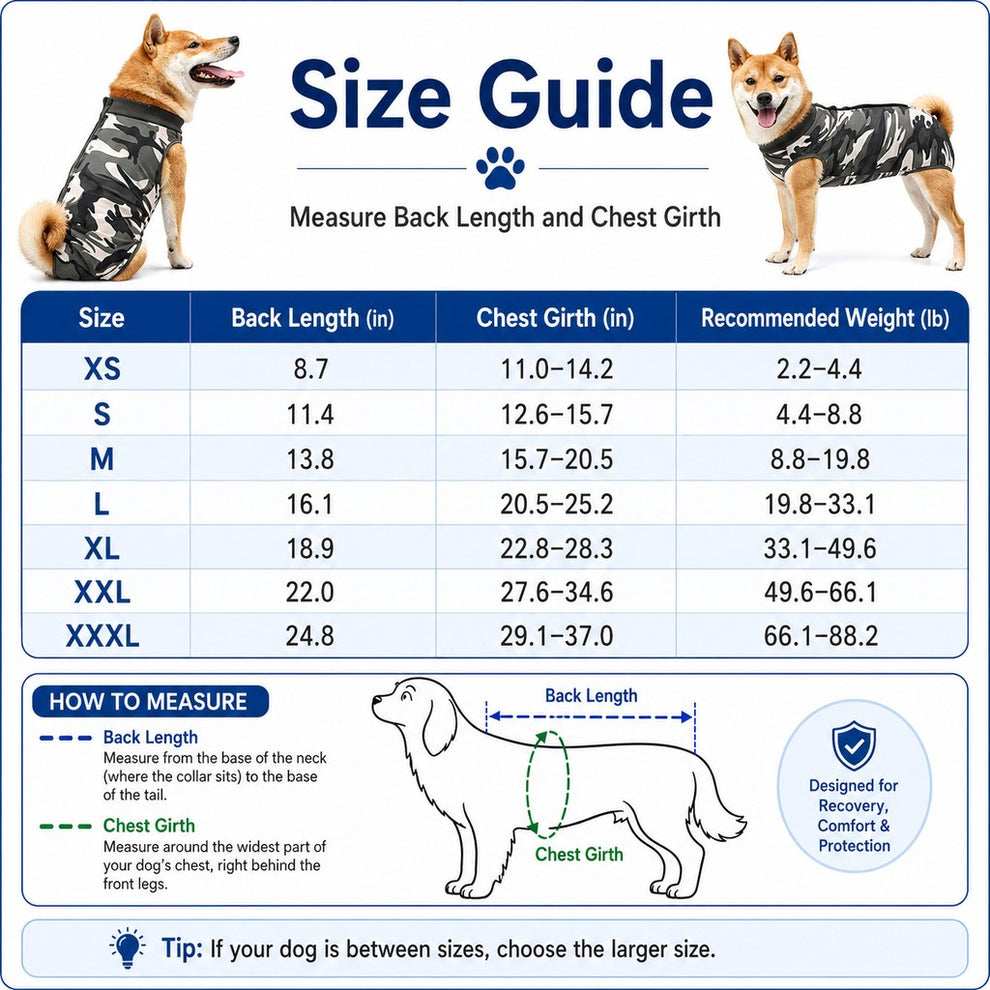 Paws in Awe Dog Post-Surgery Recovery Suit for Spay & Neuter - Anti-Lick Cone Alternative image 10