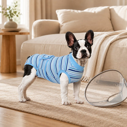 Paws in Awe Breathable Dog Recovery Suit for Spay & Neuter Recovery, Soft Cone Alternative Onesie to Help Reduce Licking After Surgery image 12
