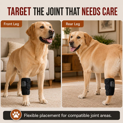 Paws in Awe Dog Red Light Joint Wrap for Senior Dogs & Post-Walk Comfort - 20-LED Adjustable Mobility Support image 3