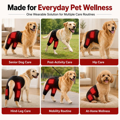 Paws in Awe Wearable Dog Red Light Therapy Wrap for At-Home Hip & Leg Care - Hands-Free 660nm + 850nm image 10