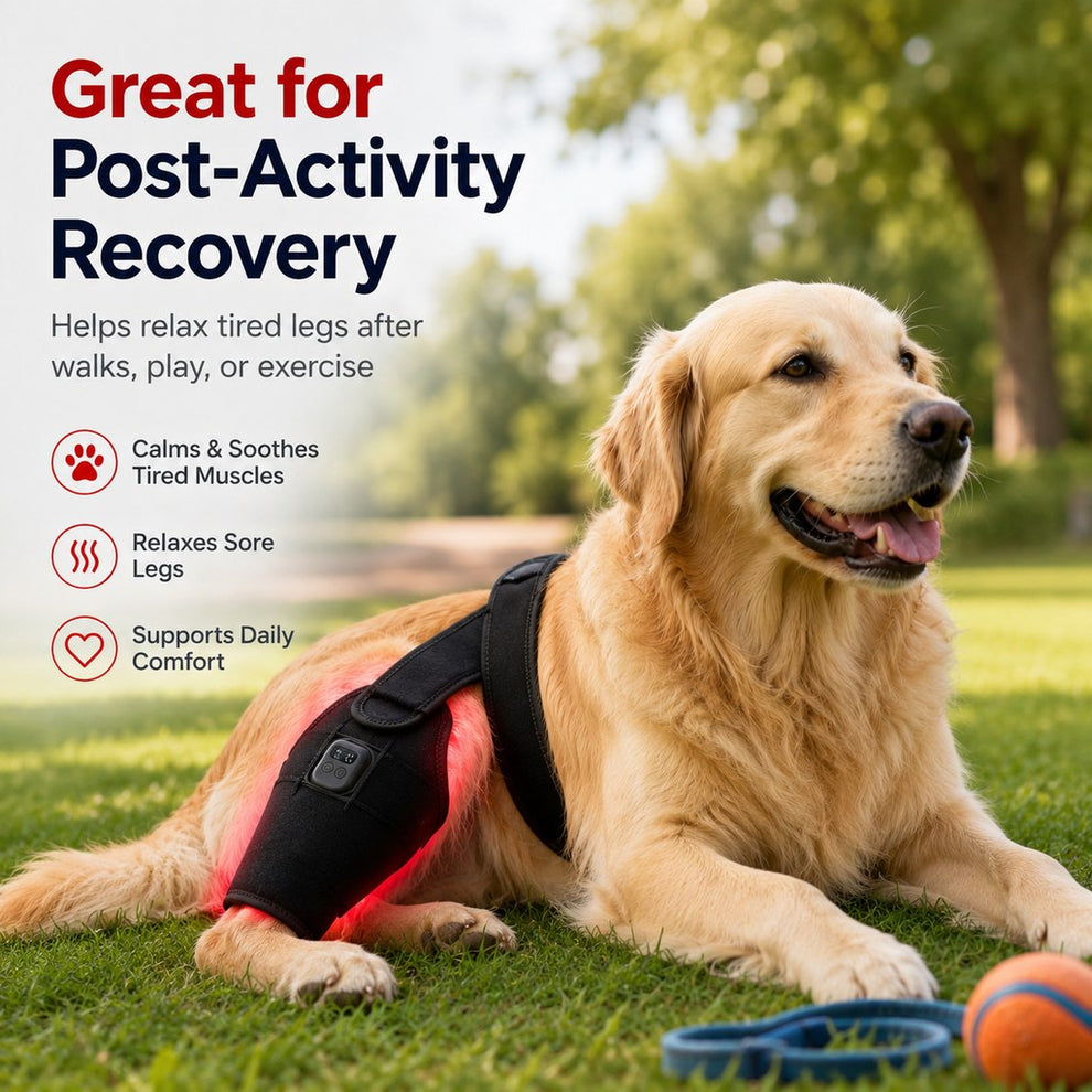 Paws in Awe Dog Red Light Therapy Leg Wrap for Senior & Active Dogs - 660nm/850nm Hind Leg Comfort & Mobility Support image 6