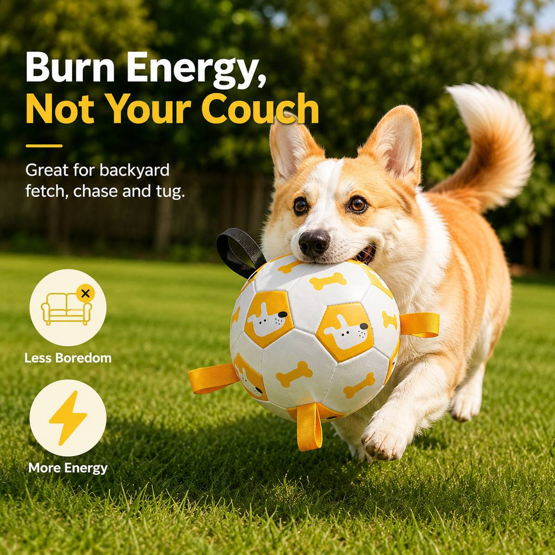 Dog soccer ball helps active dogs burn backyard energy through fetch, chase, and tug games.