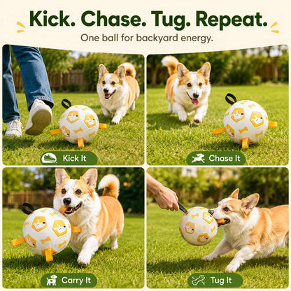 Dog soccer ball supports kick, chase, carry, and light tug play for backyard exercise.