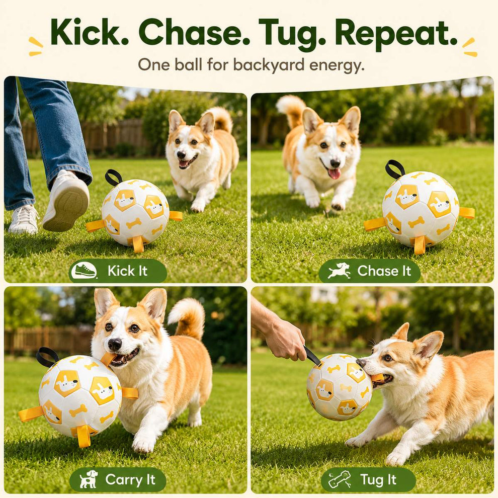 Dog soccer ball supports kick, chase, carry, and light tug play for backyard exercise.