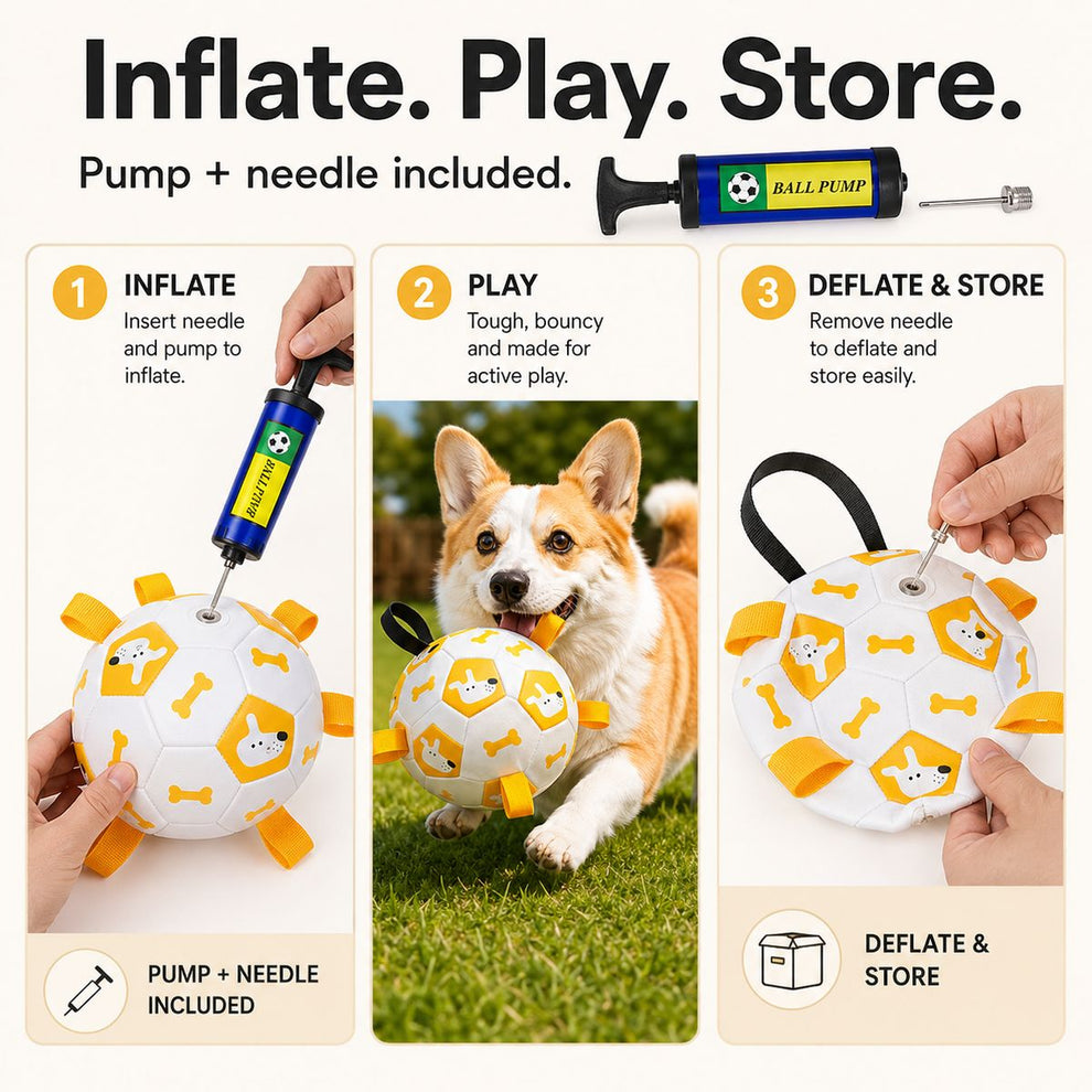 Inflatable dog soccer ball includes a hand pump and needle for setup and storage.
