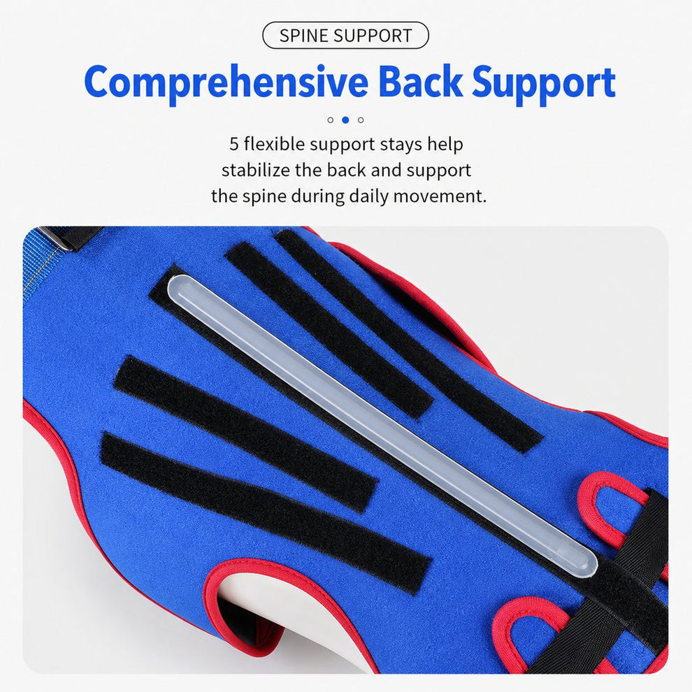 Paws in Awe Dog Spine Support Vest for Senior & Recovery Dogs - Adjustable Back Support for Walking & Daily Mobility image 5