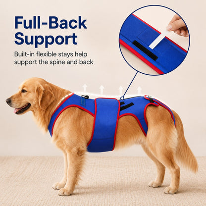 Paws in Awe Dog Spine Support Vest for Senior & Recovery Dogs - Adjustable Back Support for Walking & Daily Mobility image 3