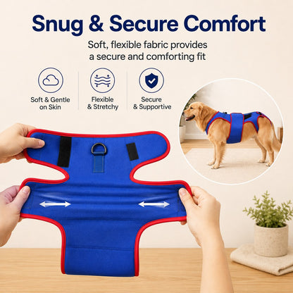 Paws in Awe Dog Spine Support Vest for Senior & Recovery Dogs - Adjustable Back Support for Walking & Daily Mobility image 6