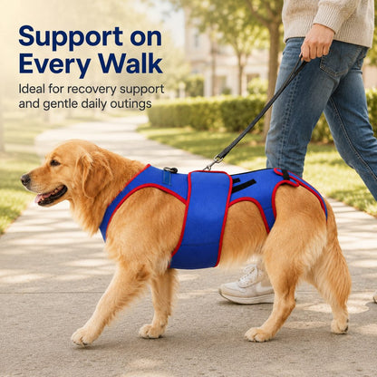 Paws in Awe Dog Spine Support Vest for Senior & Recovery Dogs - Adjustable Back Support for Walking & Daily Mobility image 2