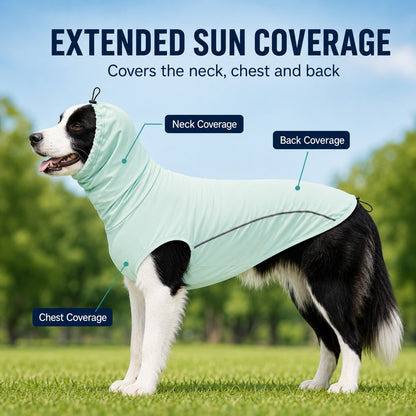 Paws in Awe Dog Cooling Sun Protection Shirt for Summer Walks - Lightweight Full-Coverage Outdoor Wear image 4
